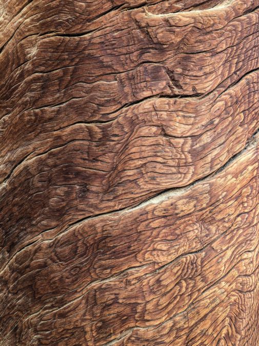 Was hier aussieht wie geschmolzenes Holz ist eine sehr interessante Maserierung. Bild: Jean Wimmerlin/unsplash