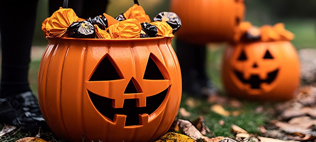 Von Kürbis bis Kultobjekt: Wie Social Proof Marken sichtbar macht